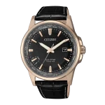 citizen-eco-bx1008-12e