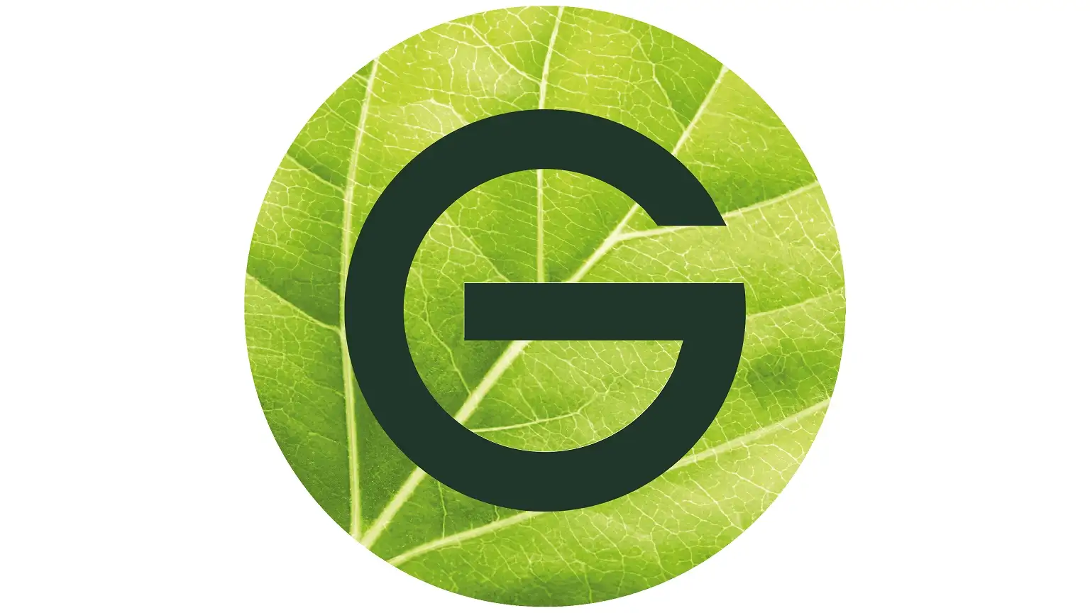 منتجات كارنيه GARNIER