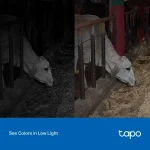 ⁦كاميرا مراقبة خارجية TP-Link Tapo C320WS V2.2⁩ - الصورة ⁦5⁩
