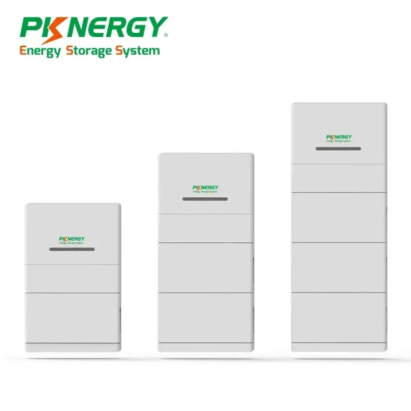 PKNERGY 51.2v 100ah(5KWH)1 5.12KWH