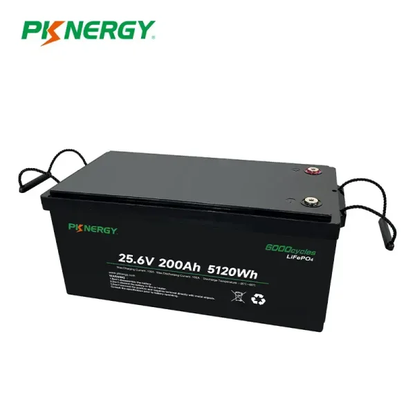PKNERGY PK-24200P-N 24V 200AH (5KWh)