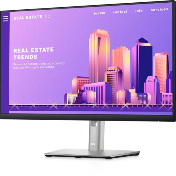Dell 24 Monitor P2422H IPS 8ms 60Hz