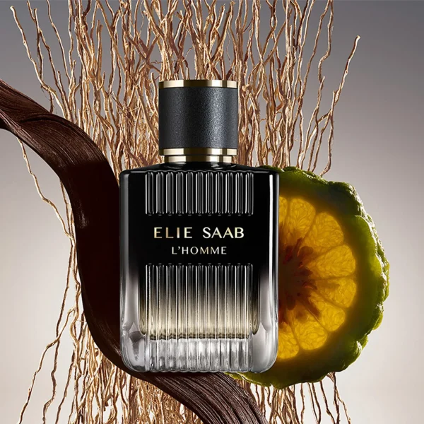 ايلي صعب عطر رجالي ال هوم او دي بارفام 100 مل