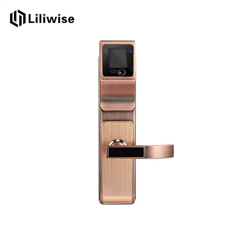 G30 Zinc Alloy Lock Wood Door