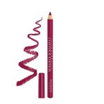 BOURJOIS LIP PENCIL LEVERES CONTOUR EDITION BERRY MUCH 05