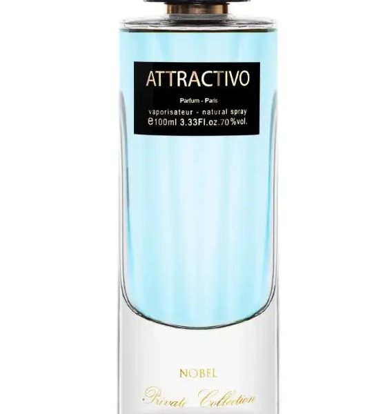 PANOUGE MEN'S PERFUME ATTRACTIVO P 100 ML