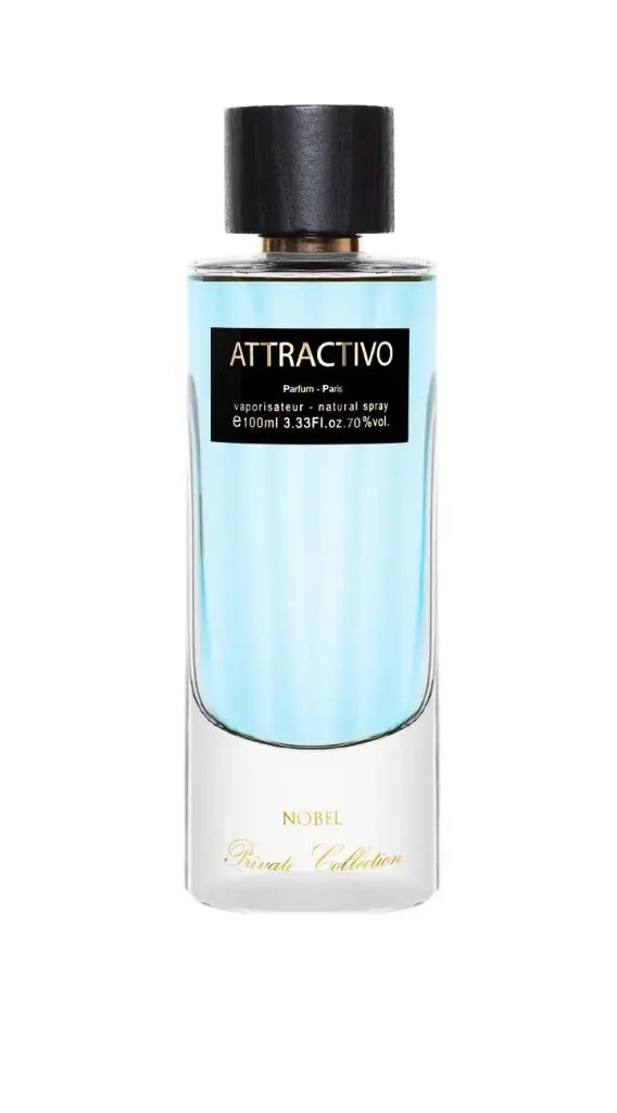 PANOUGE MEN'S PERFUME ATTRACTIVO P 100 ML