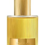 TOM FORD MEN'S PERFUME COSTA AZZURRA EDP 100 ML