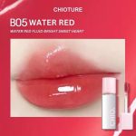 CHIO TURE LIP GLOSS LONG LASTING B05