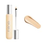 DIOR CONCEALER FLASH PERFECTOR 1W