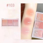 HOLD LIVE BLUSH PALETTE WE HAVE NICE DAY 103