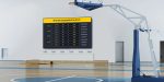 Horion P6A Commercial Display 55 inch