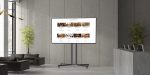 Horion P6A Commercial Display 55 inch