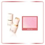 GOGO TALES BLUSH STICK HANCOOVER