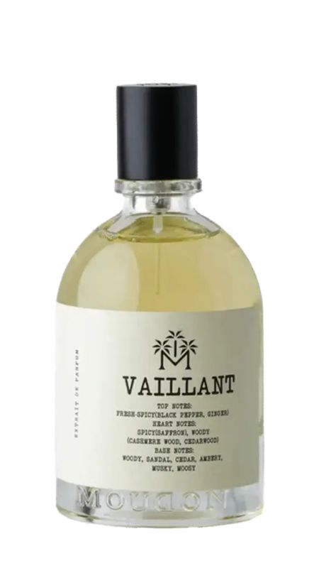 img-3070.jpg MOUDON UNISEX PERFUME VAILLANT EDP 100 ML - الصورة 1