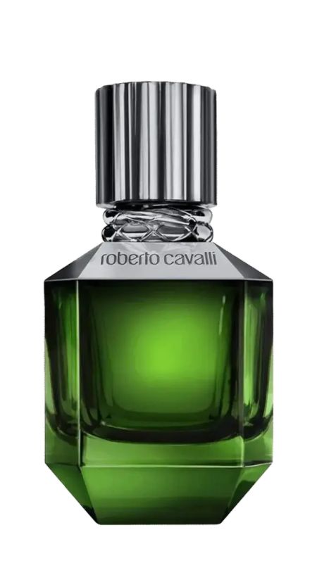 img-3473.jpg ROBERTO CAVALLI MEN'S PERFUME PARADISE FOUND EDT 75 ML - الصورة 1