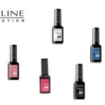 EVELINE GEL + TOP COAT VINYL GEL 2IN5
